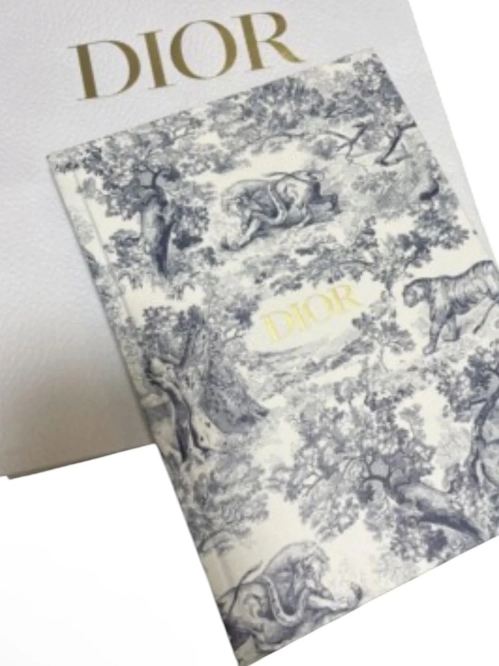 Dior Toile de Jouy Notebook